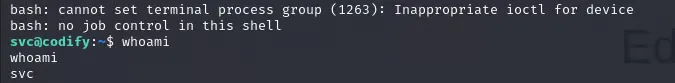 Reverse shell obtained through the vm2 escape