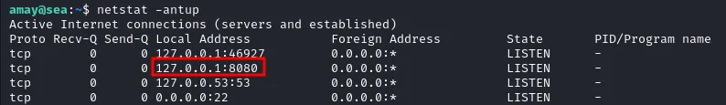 Netstat results