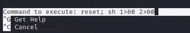 Spawning a root shell from nano