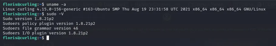 Outdated kernel and sudo versions
